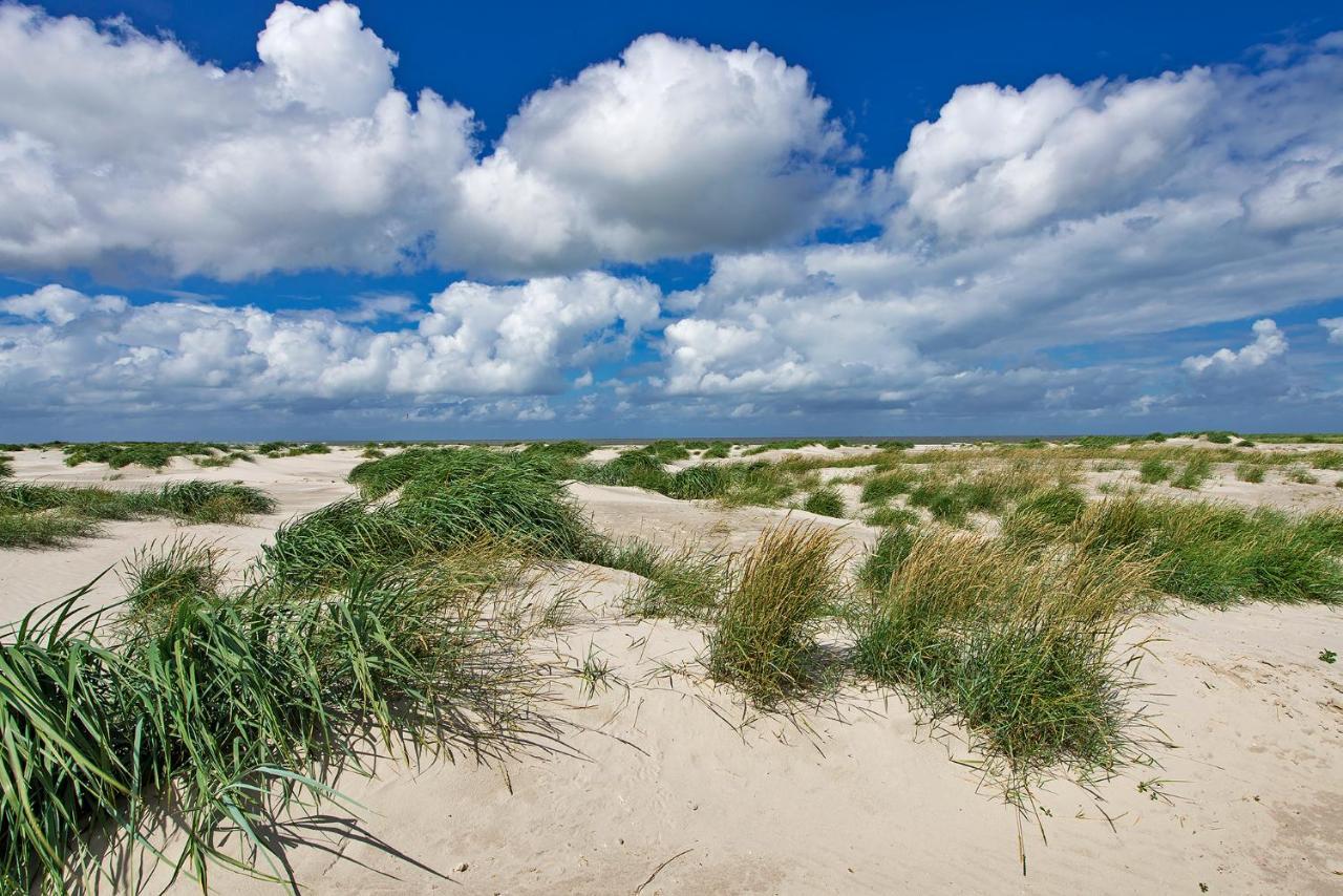 Appartement Duinzee Texel De Koog  Eksteriør billede