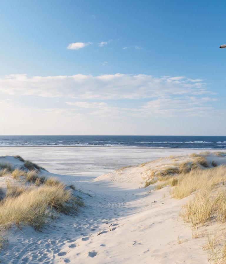 Appartement Duinzee Texel De Koog  Eksteriør billede